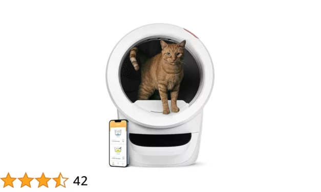 Litière connectée design pour chat : focus sur la Litter-Robot 4