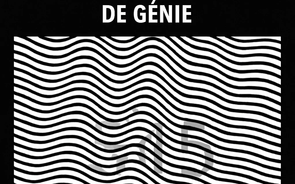 Si vous trouvez le nombre caché dans cette image vous avez un QI de génie