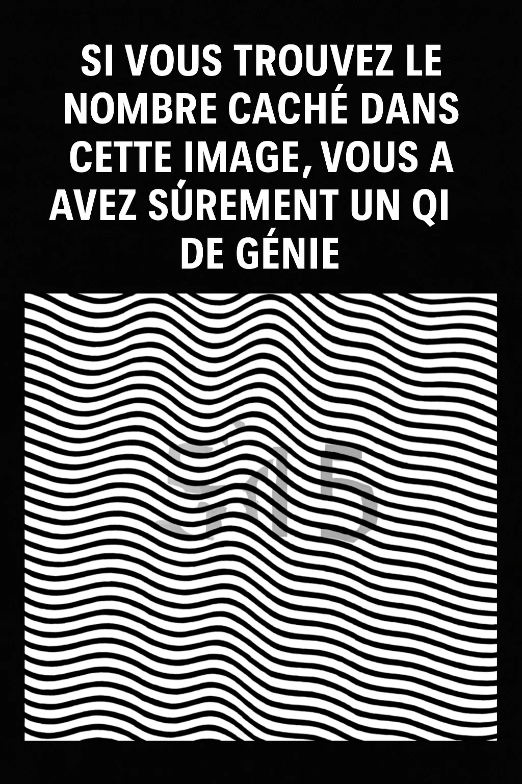 test QI de génie nombre caché illusion d’optique
