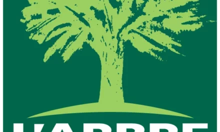 L’Arbre Vert ouvre sa boutique en ligne et facilite l’accès à toute son offre !