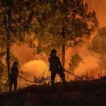 Incendie Aude août 2025 : bilan, causes et zones touchées