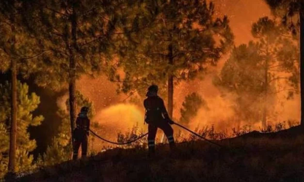 Pompiers luttant contre l'incendie de forêt dans l'Aude en août 2025