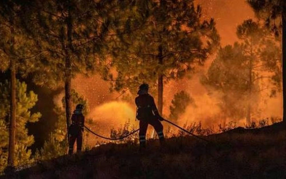 Incendie Aude août 2025 : bilan, causes et zones touchées