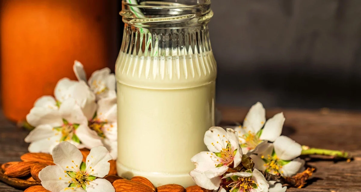 Comment faire du lait d’amande soi-même ? Conseils et astuces maison