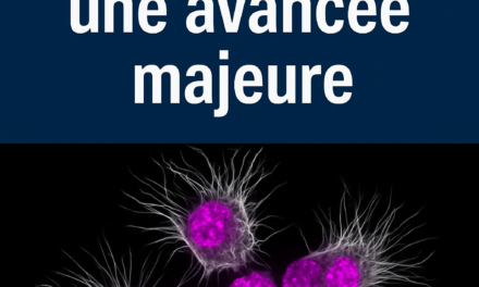 Vieillissement et cancer des os : une avancée majeure