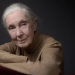 Jane Goodall est morte : France Télévisions lui rend hommage