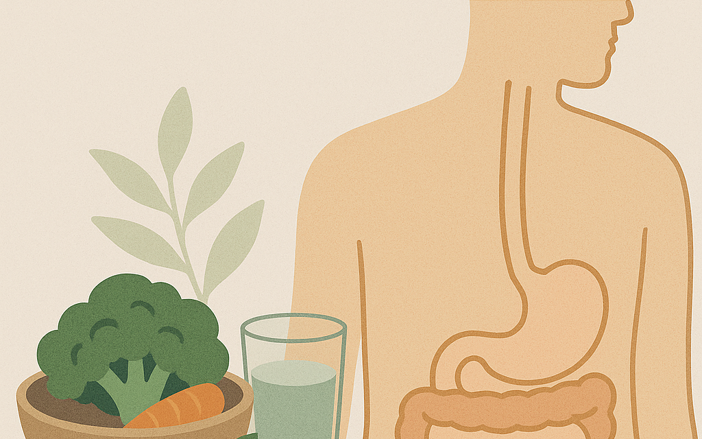 Combien de temps dure la digestion ?