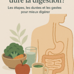 Combien de temps dure la digestion ?