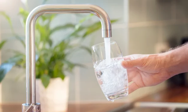 Comment purifier son eau du robinet efficacement et naturellement ?