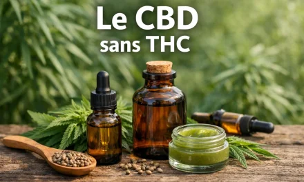 Intégrer le CBD sans THC dans sa routine quotidienne : conseils pratiques