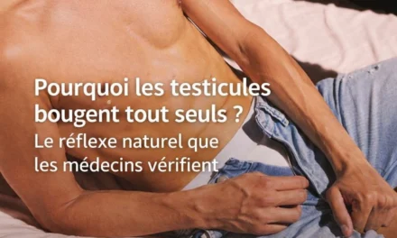 Pourquoi les testicules bougent tout seuls ? Le réflexe crémastérien expliqué