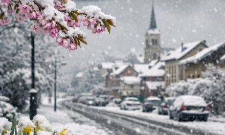 Coup de froid mercredi : neige en France et jusqu’à 10°C en moins