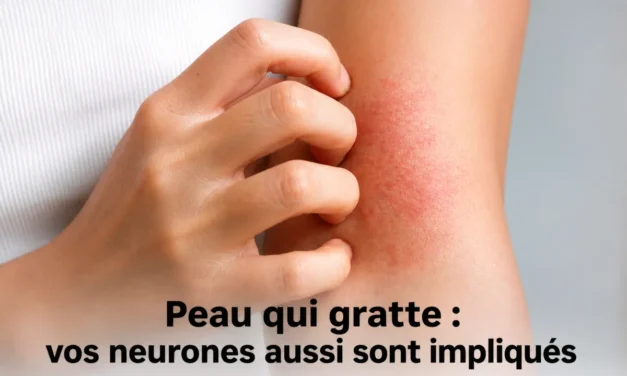 Peau qui gratte : des chercheurs français font une découverte étonnante